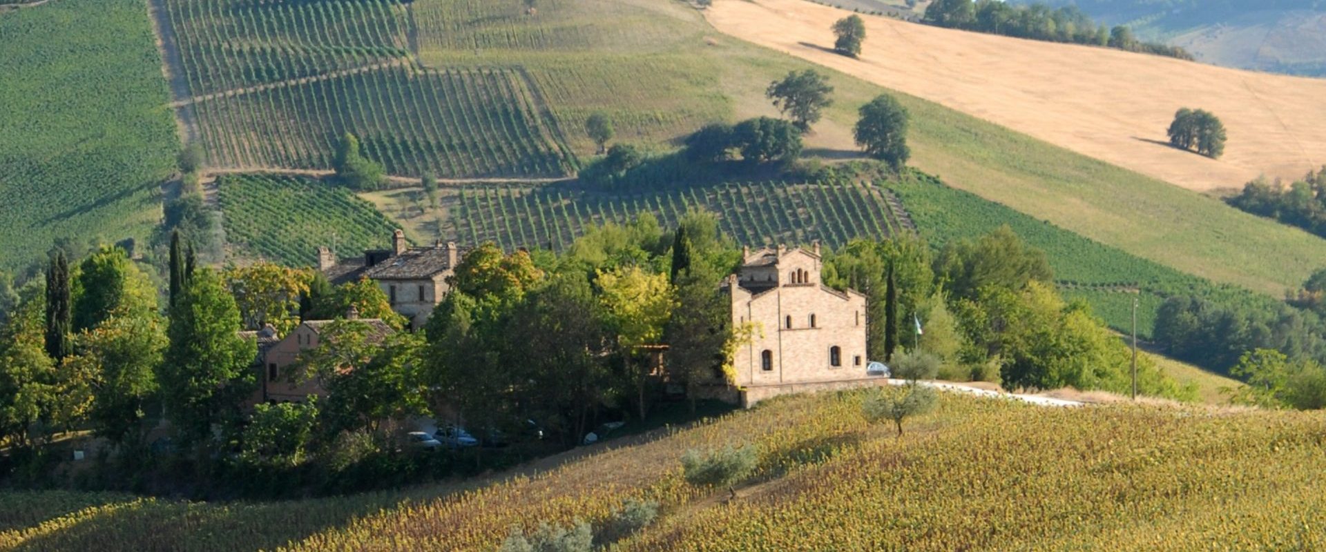 Pasta All'Uovo Sapori Di Casa Isolina - La Nostra Storia - Colline Ascolane